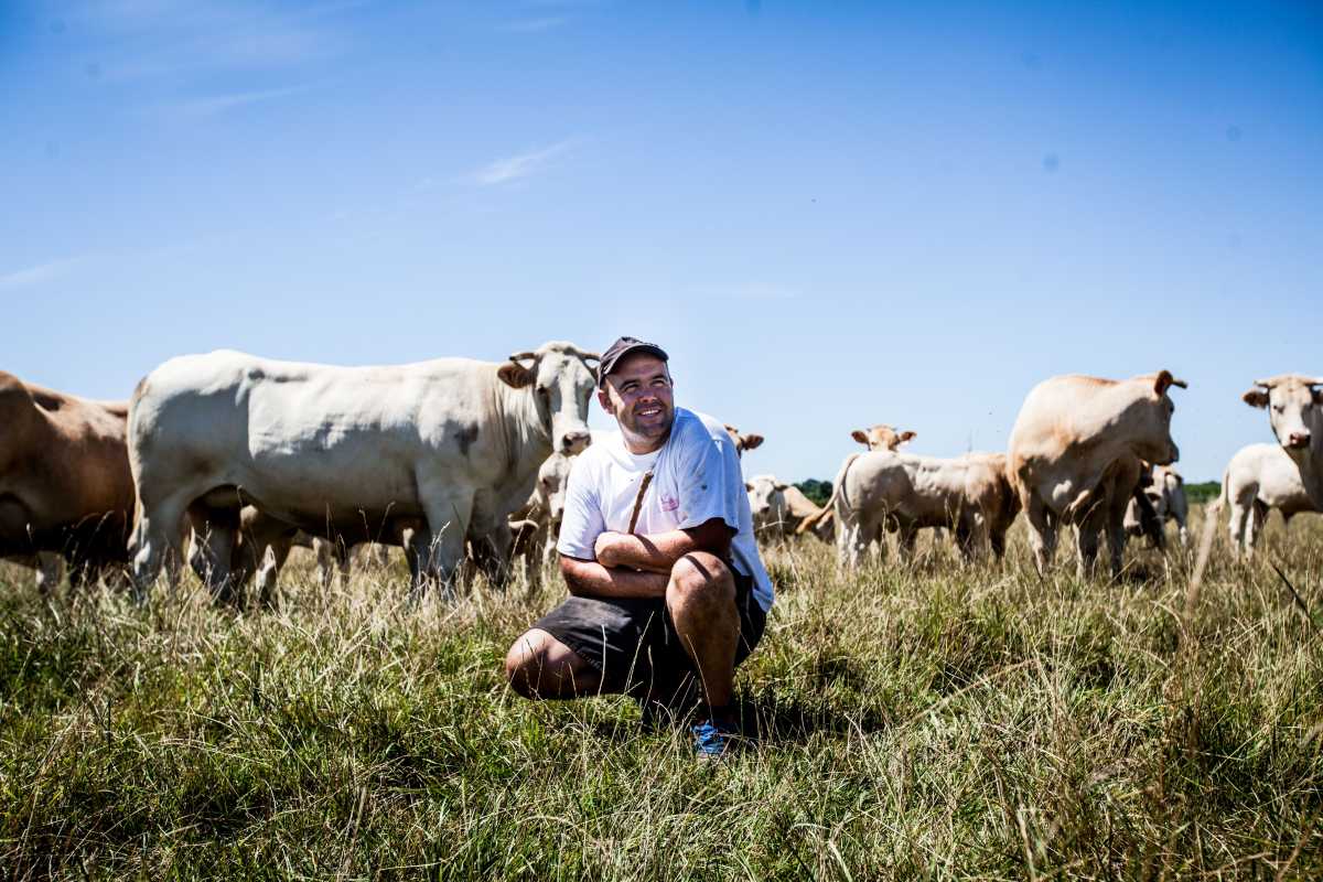 Le boeuf de chez Direct O Cuisines