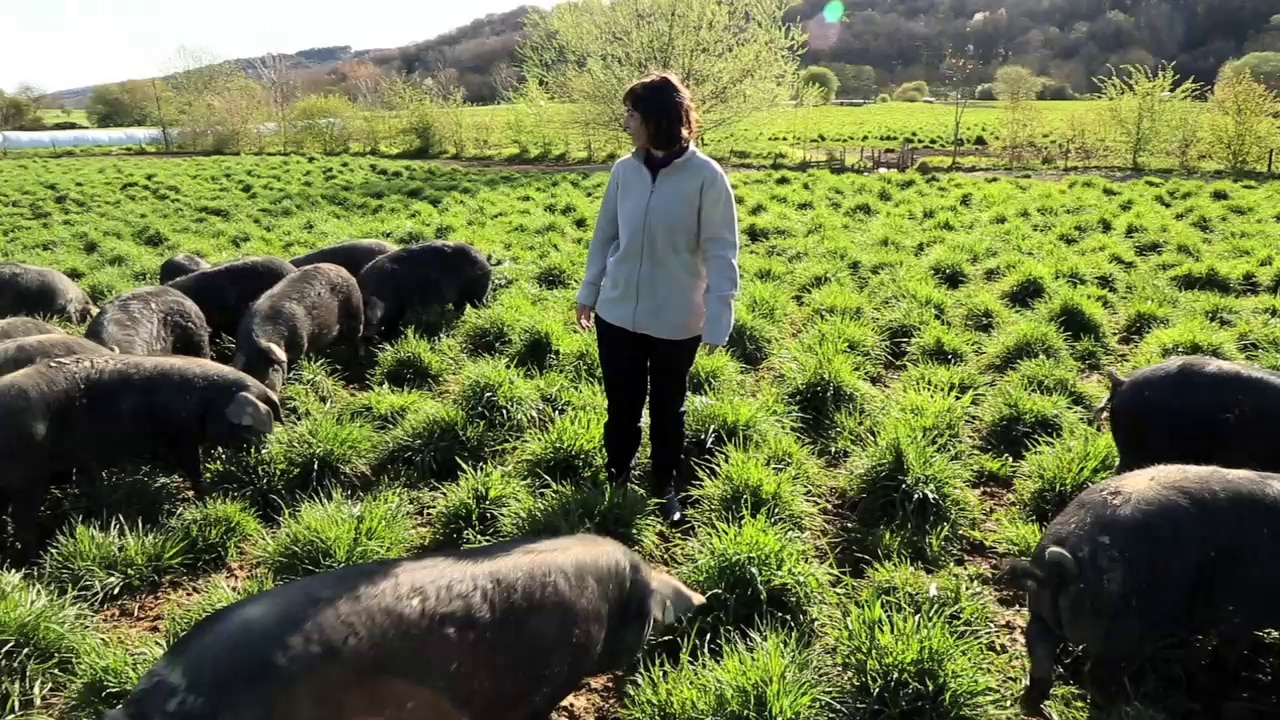 Porc bigorre cuisiné par les 2 coudes sur la table